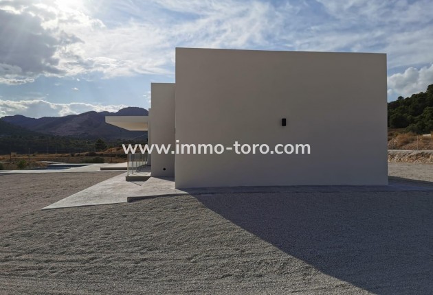 New Build - Villa - Pinoso - Casas Pastor