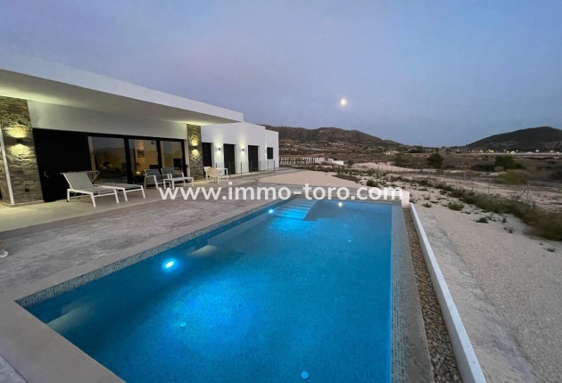 New Build - Villa - Pinoso - Casas Pastor