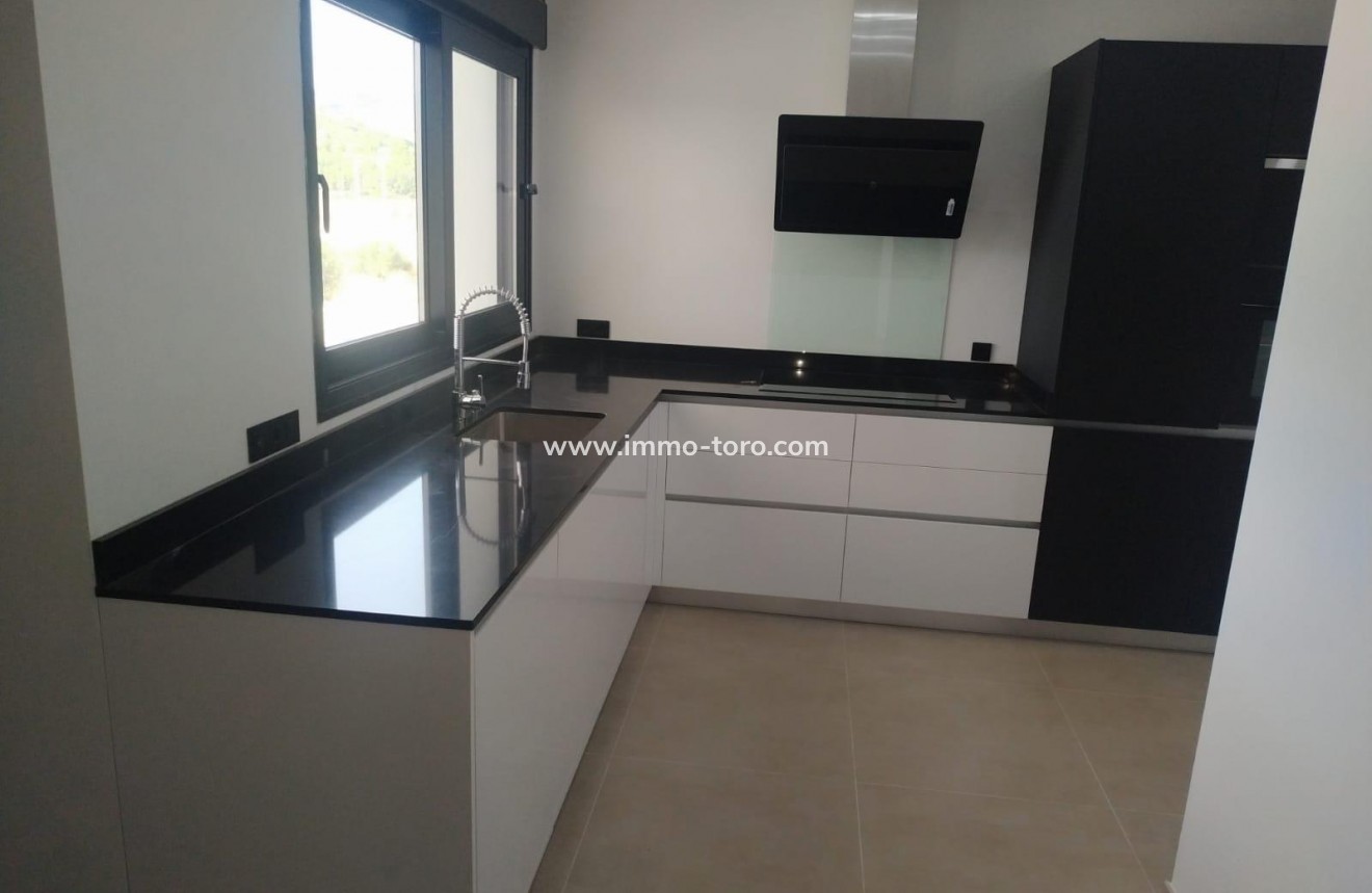New Build - Villa - Pinoso - Casas Pastor