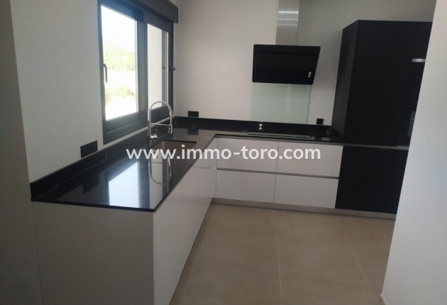 New Build - Villa - Pinoso - Casas Pastor