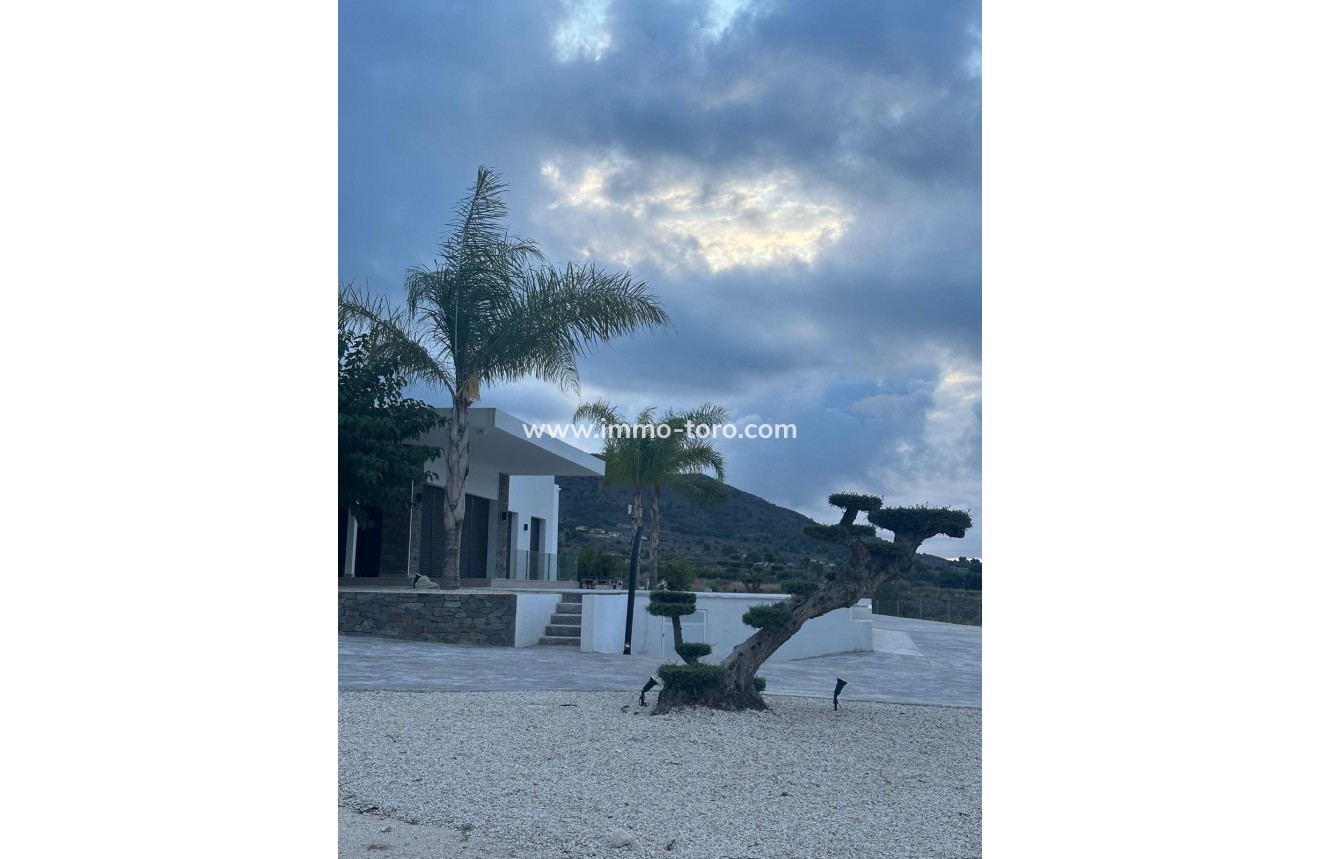 New Build - Villa - Pinoso - Casas Pastor