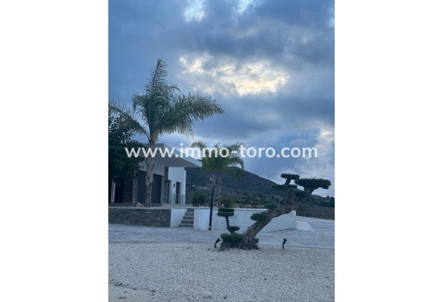New Build - Villa - Pinoso - Casas Pastor