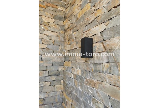 New Build - Villa - Pinoso - Casas Pastor