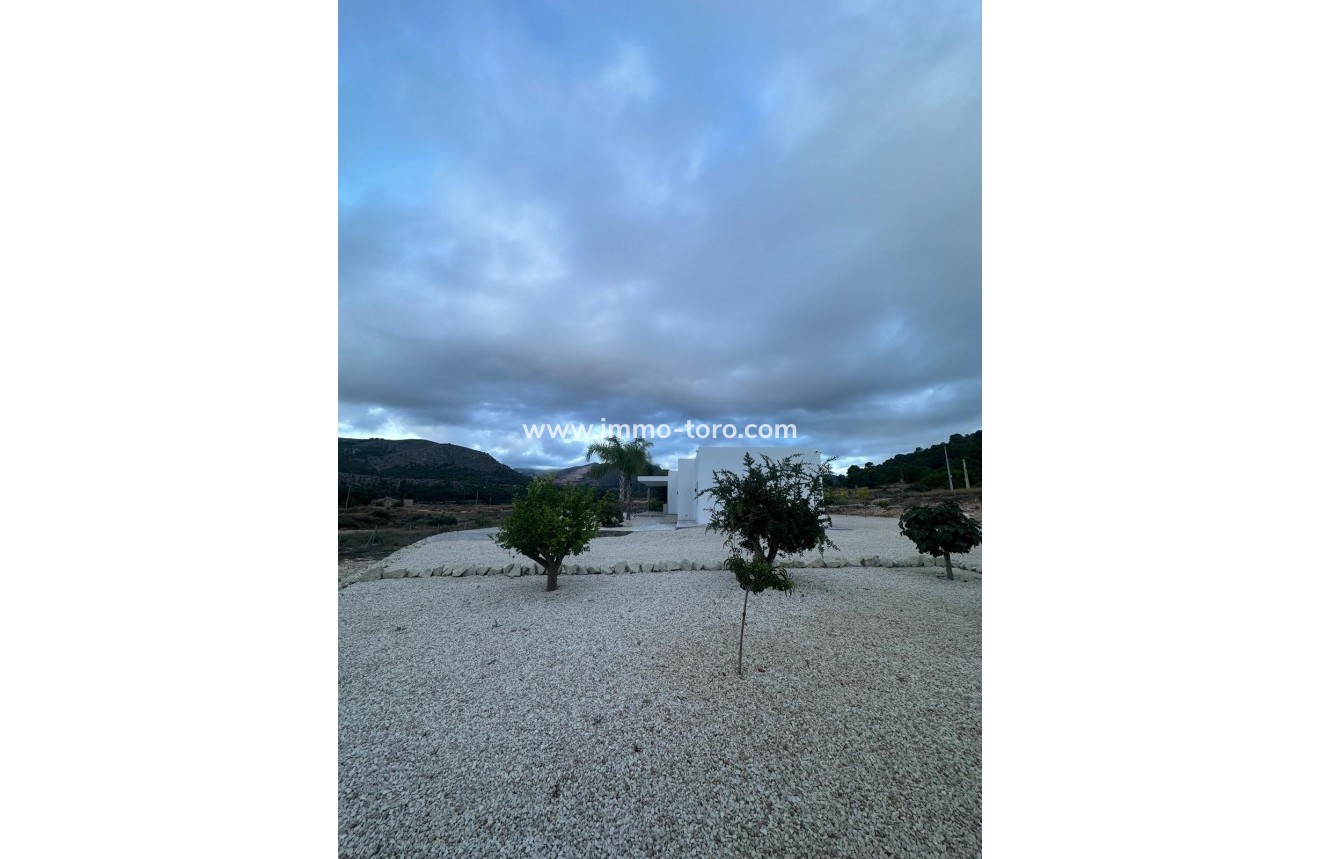 New Build - Villa - Pinoso - Casas Pastor