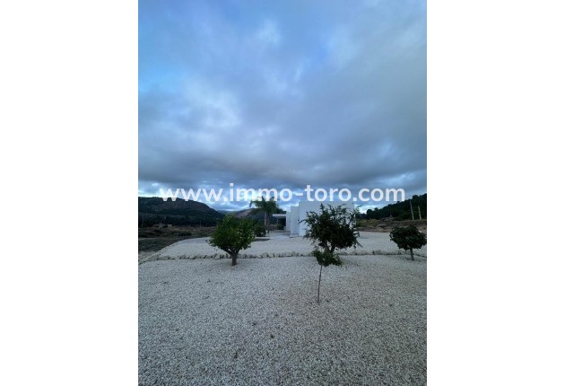 New Build - Villa - Pinoso - Casas Pastor