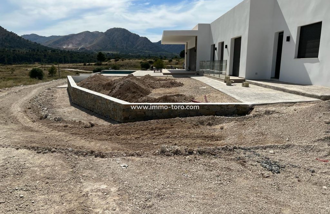 New Build - Villa - Pinoso - Casas Pastor