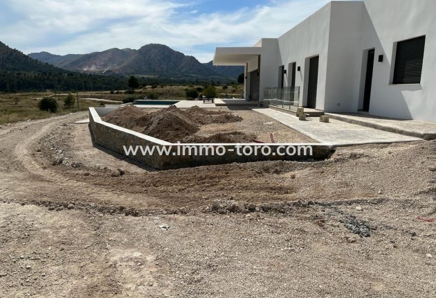 New Build - Villa - Pinoso - Casas Pastor