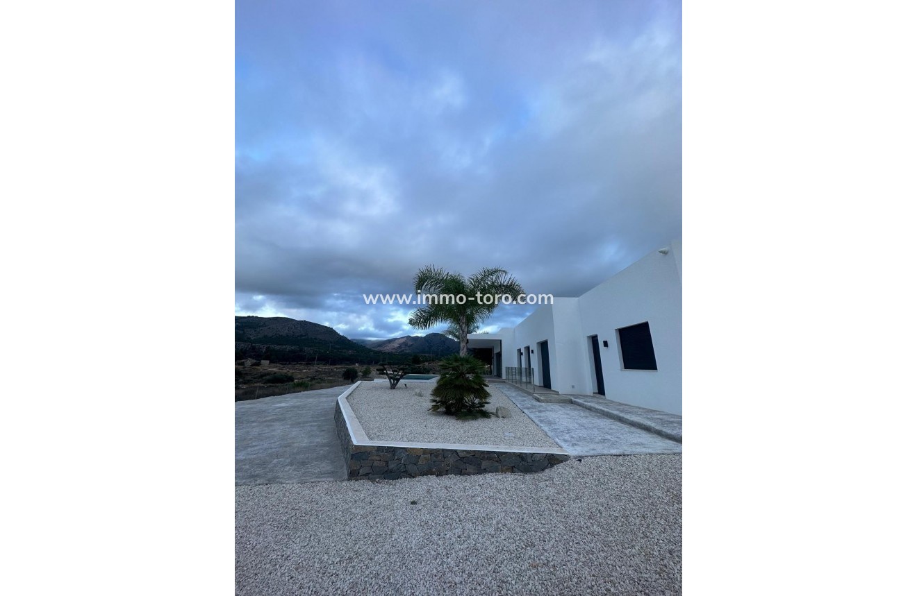 New Build - Villa - Pinoso - Casas Pastor