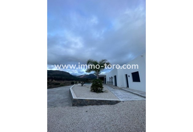 New Build - Villa - Pinoso - Casas Pastor