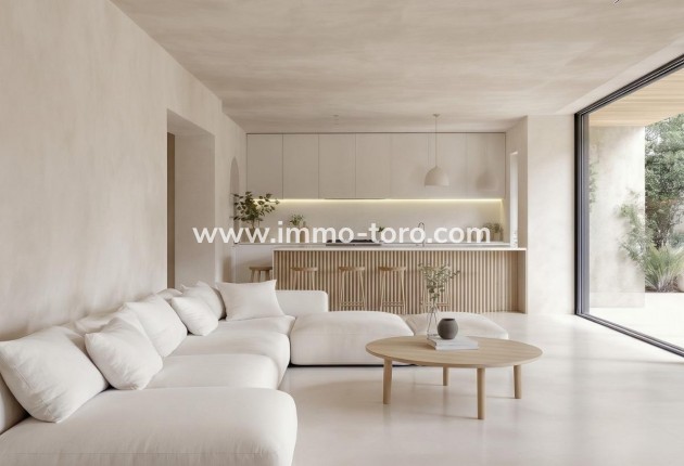 New Build - Villa - Pinoso - Casas Pastor