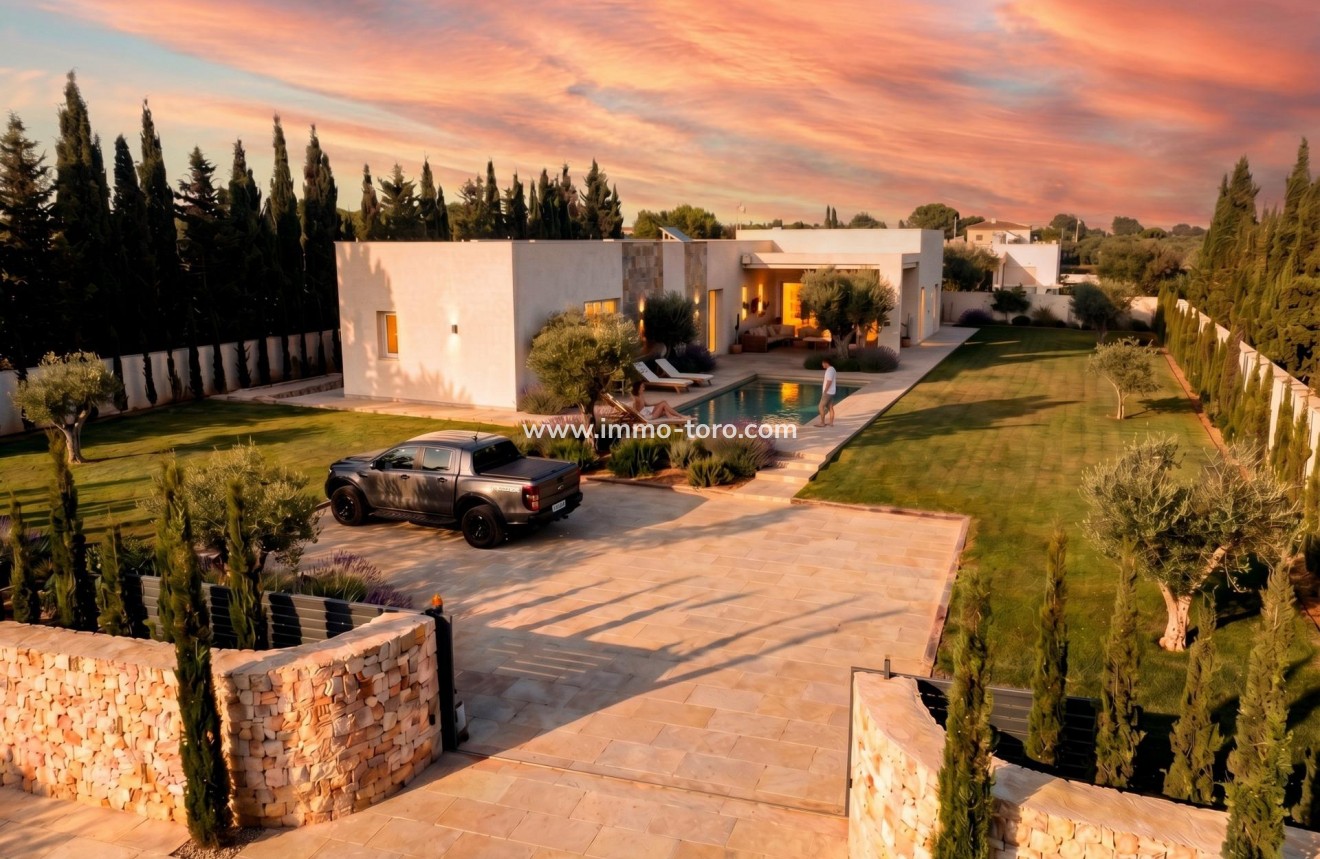 New Build - Villa - Pinoso - Casas Pastor