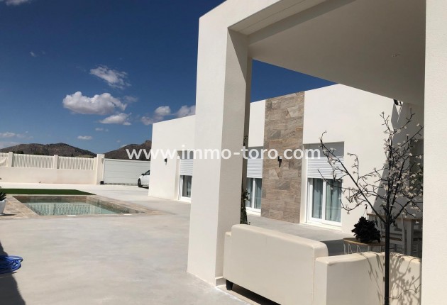 New Build - Villa - Pinoso - Casas Pastor