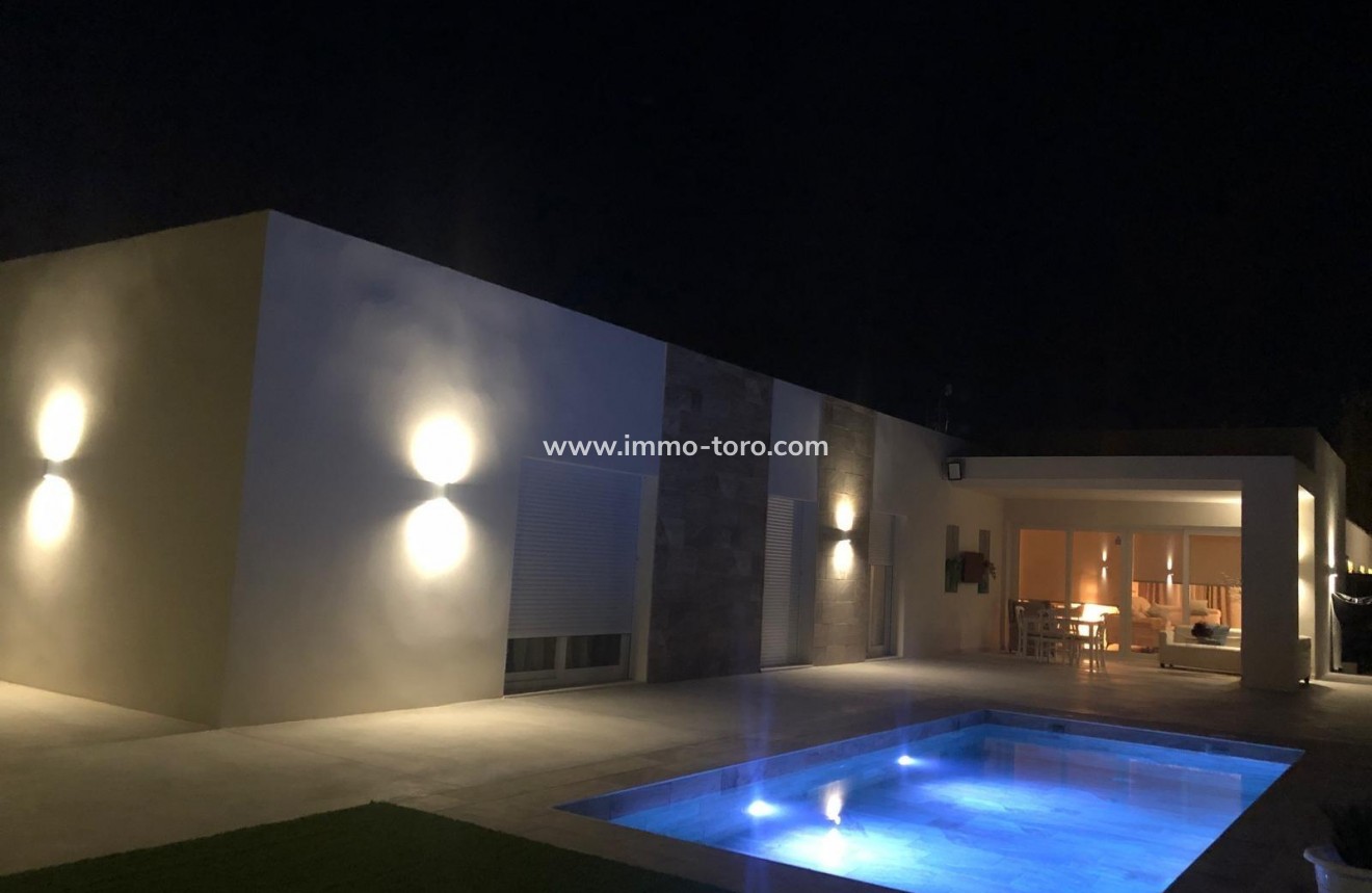 New Build - Villa - Pinoso - Casas Pastor