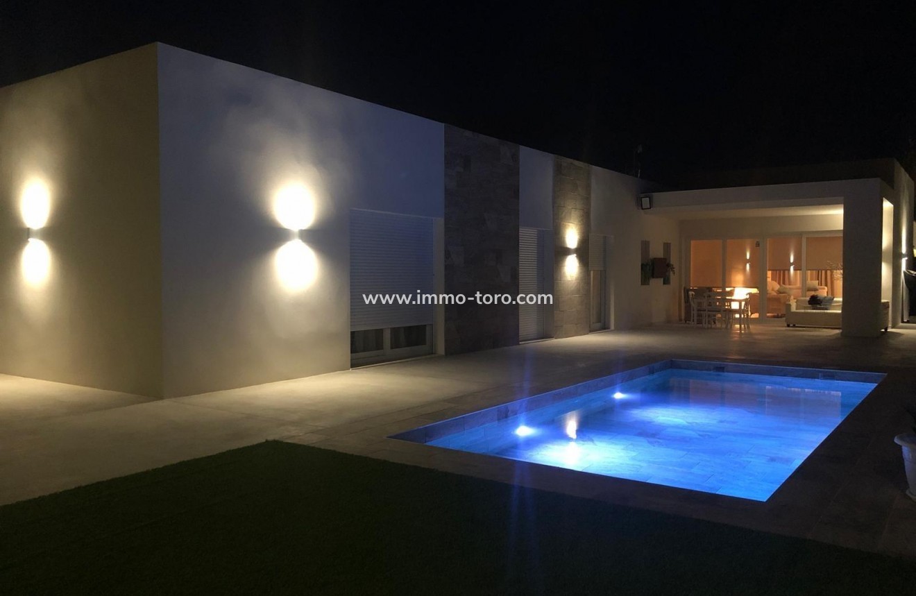 New Build - Villa - Pinoso - Casas Pastor