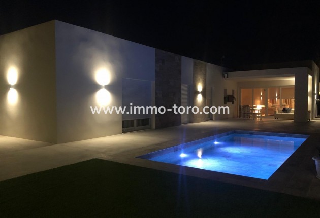 New Build - Villa - Pinoso - Casas Pastor