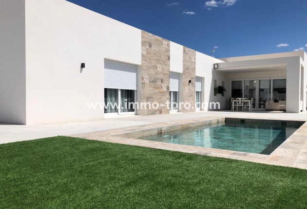 New Build - Villa - Pinoso - Casas Pastor