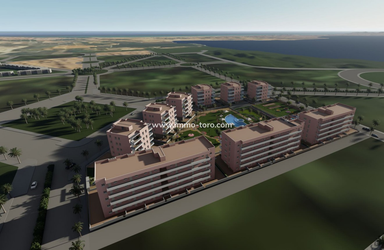 New Build - Apartment - Guardamar - Guardamar del Segura