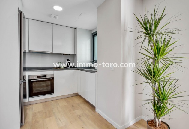 Nouvelle construction - Penthouse - Mijas - Las Lagunas