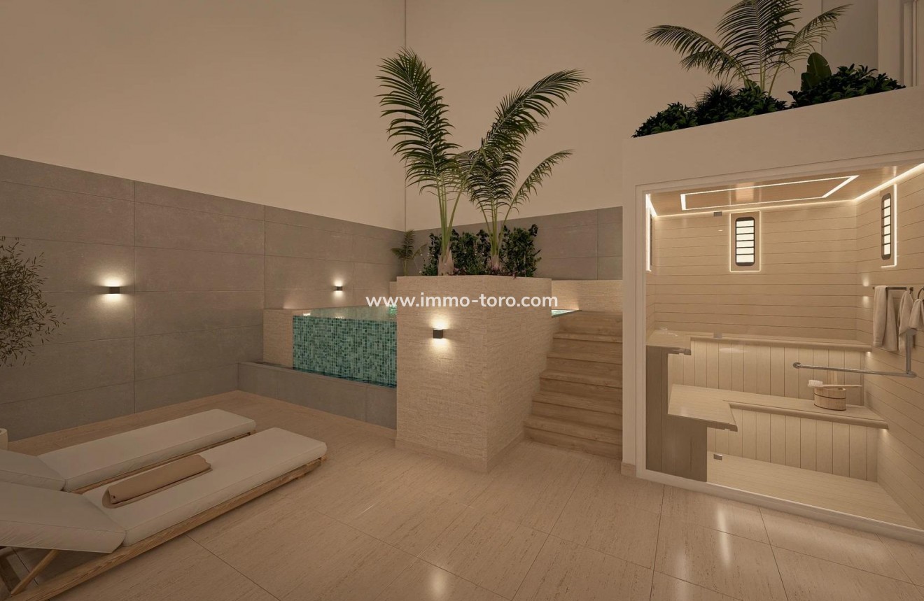 Nieuwbouw - Penthouse - Torrevieja