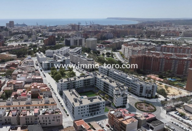 New Build - Apartment - Alicante - San Agustín