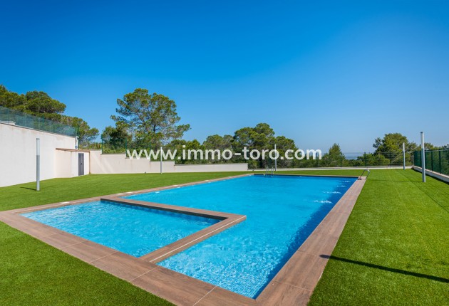 Nouvelle construction - Appartement - San Miguel de Salinas - San Miguel De Salinas