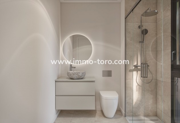New Build - Detached house / Townhouse - Santa Rosalía
