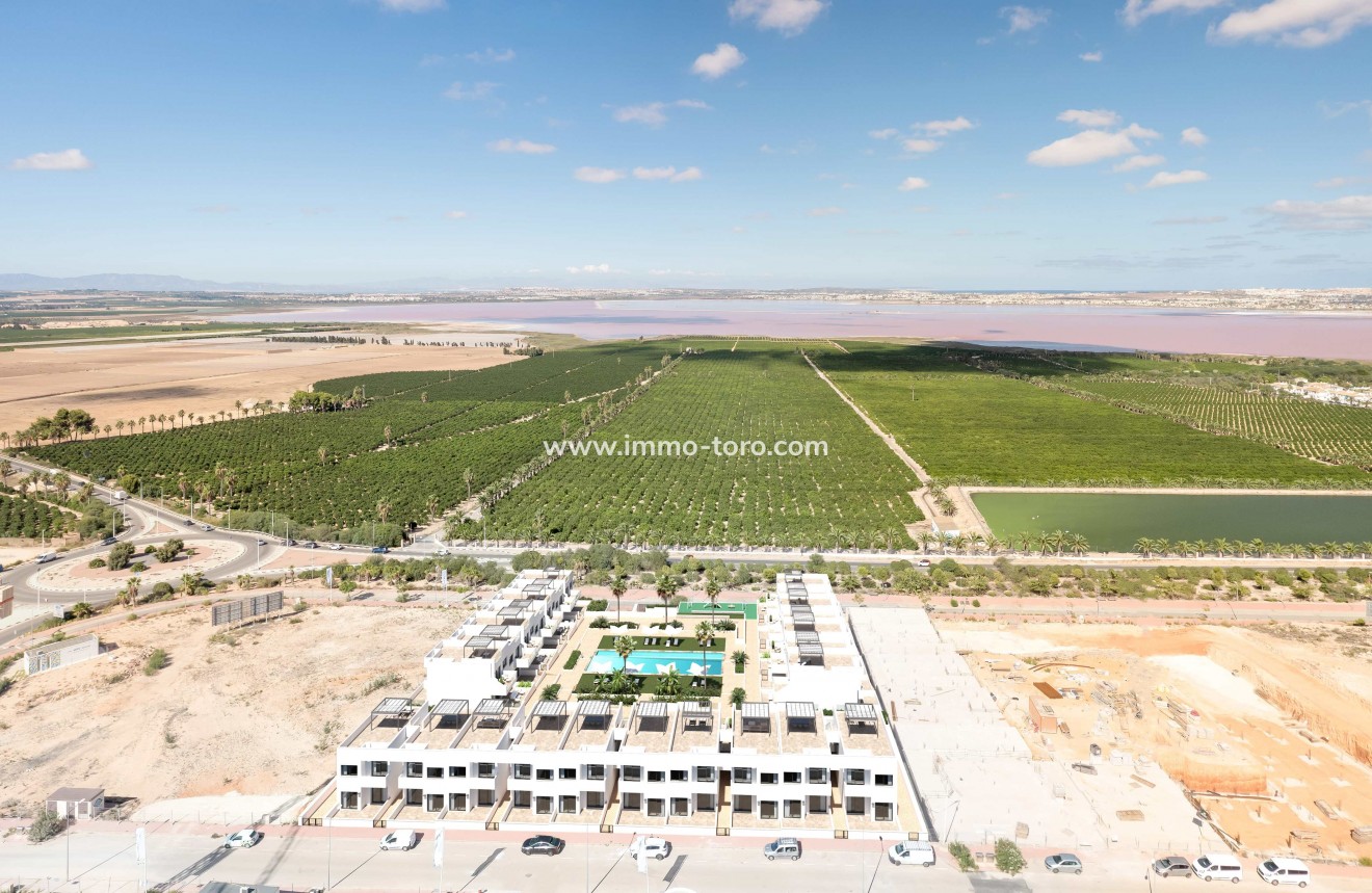 Nueva construcción  - Apartamento - Torrevieja