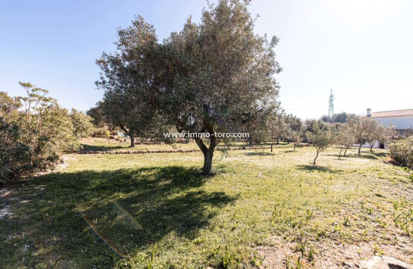 Venta - Finca / Casa de Campo - Teulada - Canor