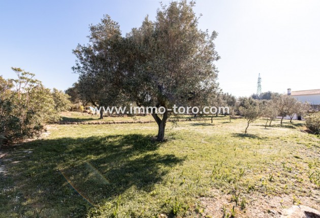 Venta - Finca / Casa de Campo - Teulada - Canor