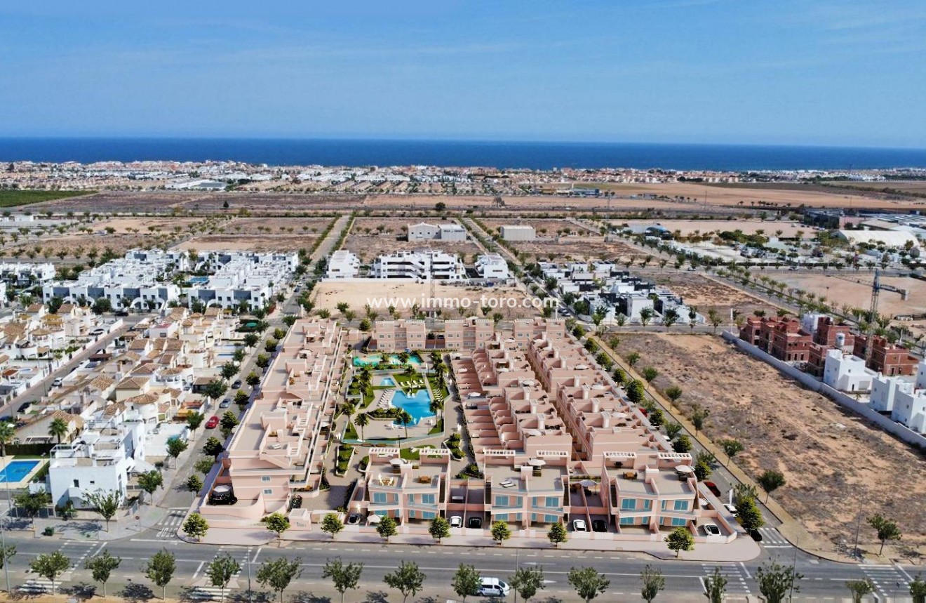 New Build - Apartment - Pilar de la Horadada - Lo Monte