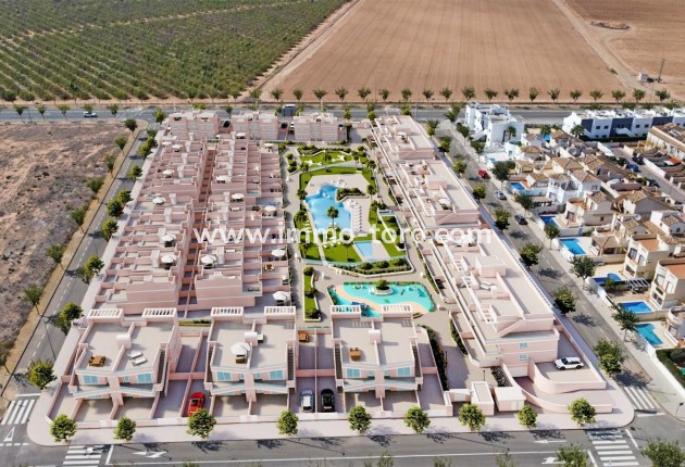 New Build - Apartment - Pilar de la Horadada - Lo Monte