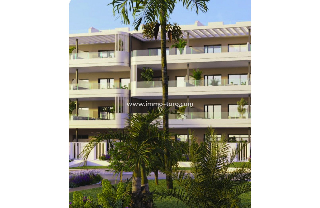 Nouvelle construction - Penthouse - Torrevieja