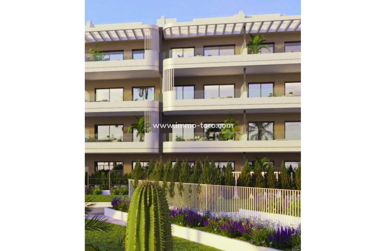 Nouvelle construction - Penthouse - Torrevieja