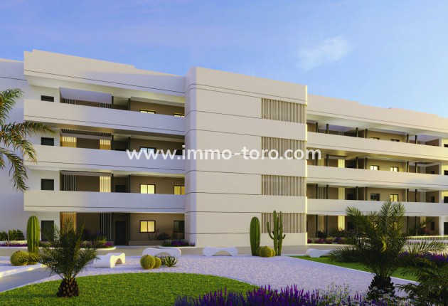 Nouvelle construction - Penthouse - Torrevieja