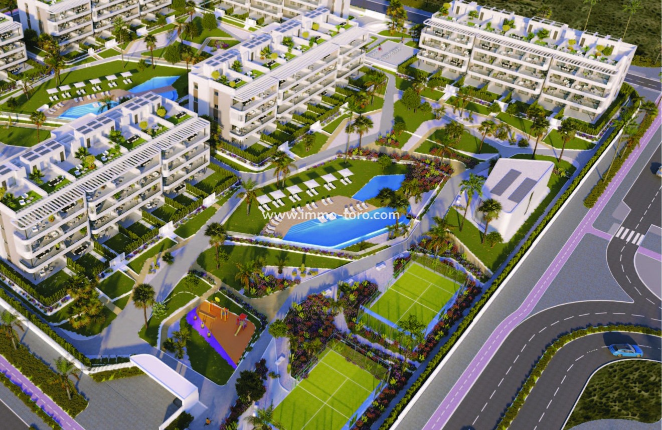 Nouvelle construction - Penthouse - Torrevieja