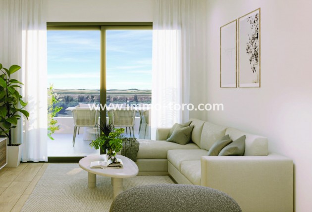 Nouvelle construction - Penthouse - Torrevieja