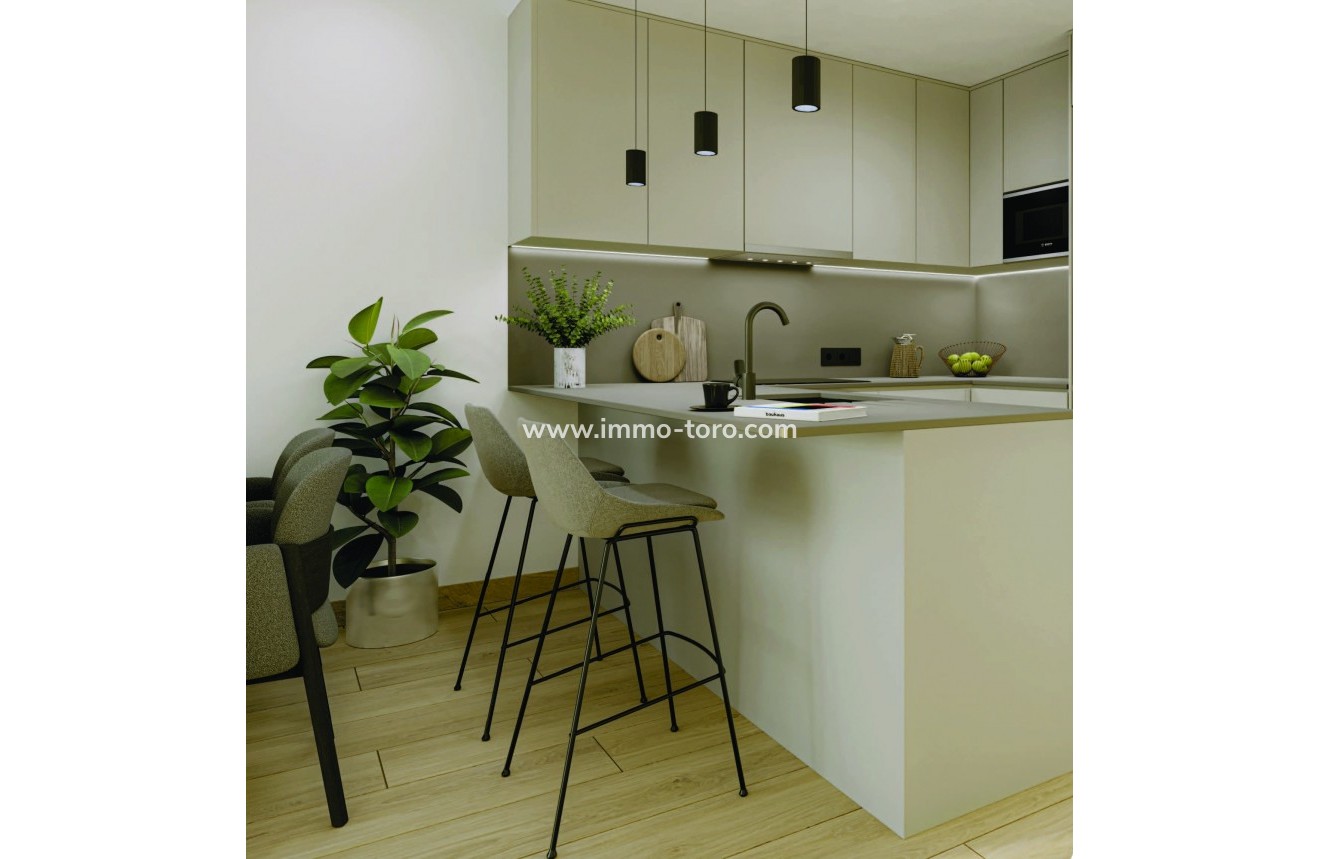 Nouvelle construction - Penthouse - Torrevieja