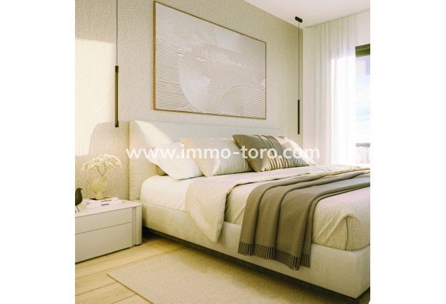 Nouvelle construction - Penthouse - Torrevieja