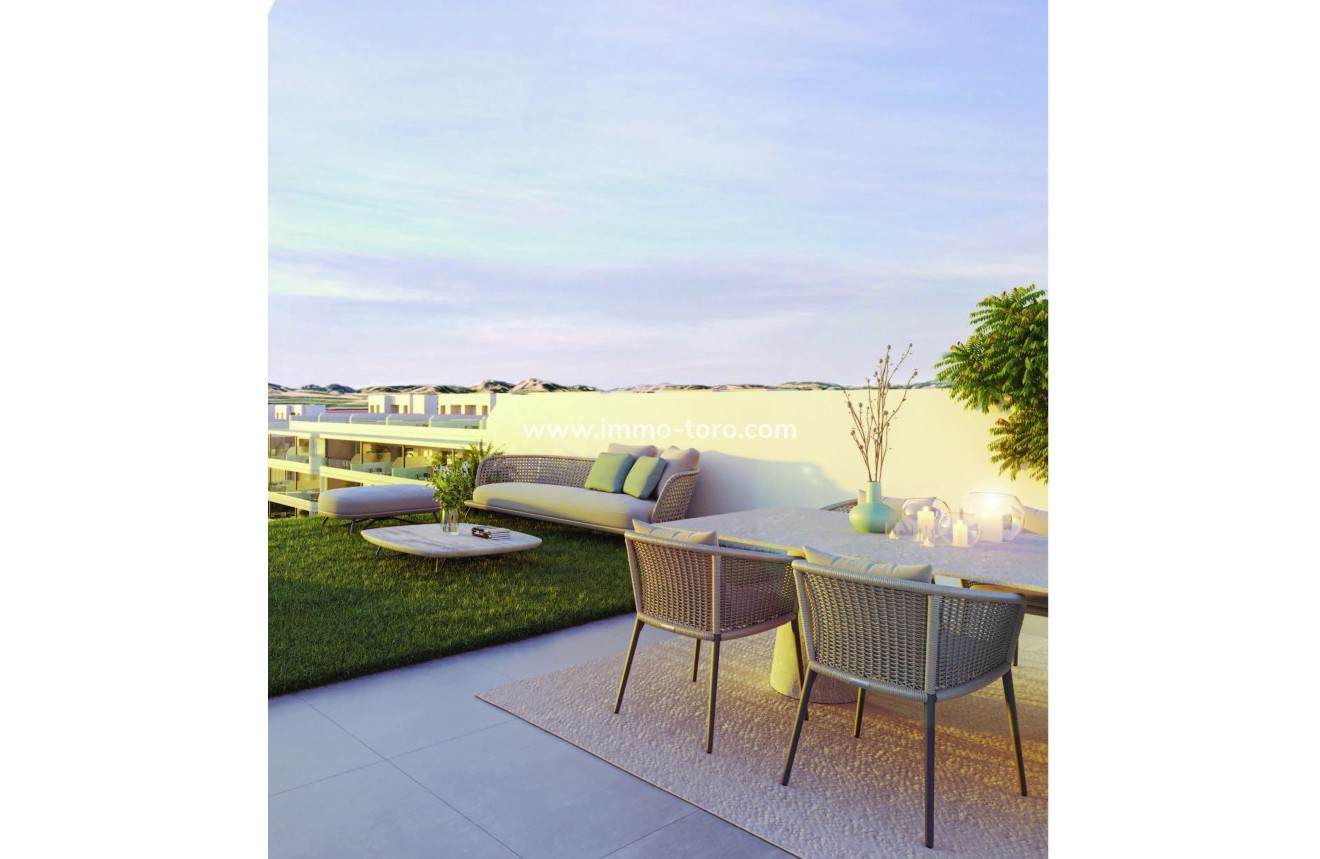 Nouvelle construction - Penthouse - Torrevieja