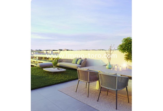 Nouvelle construction - Penthouse - Torrevieja