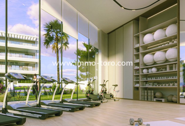 Nouvelle construction - Penthouse - Torrevieja