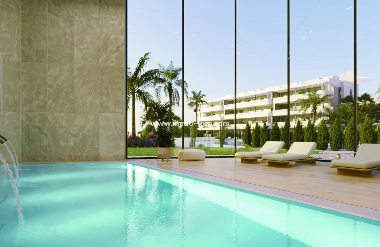 Nouvelle construction - Penthouse - Torrevieja