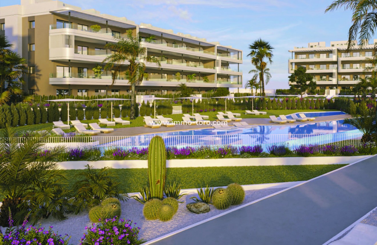 Nouvelle construction - Penthouse - Torrevieja