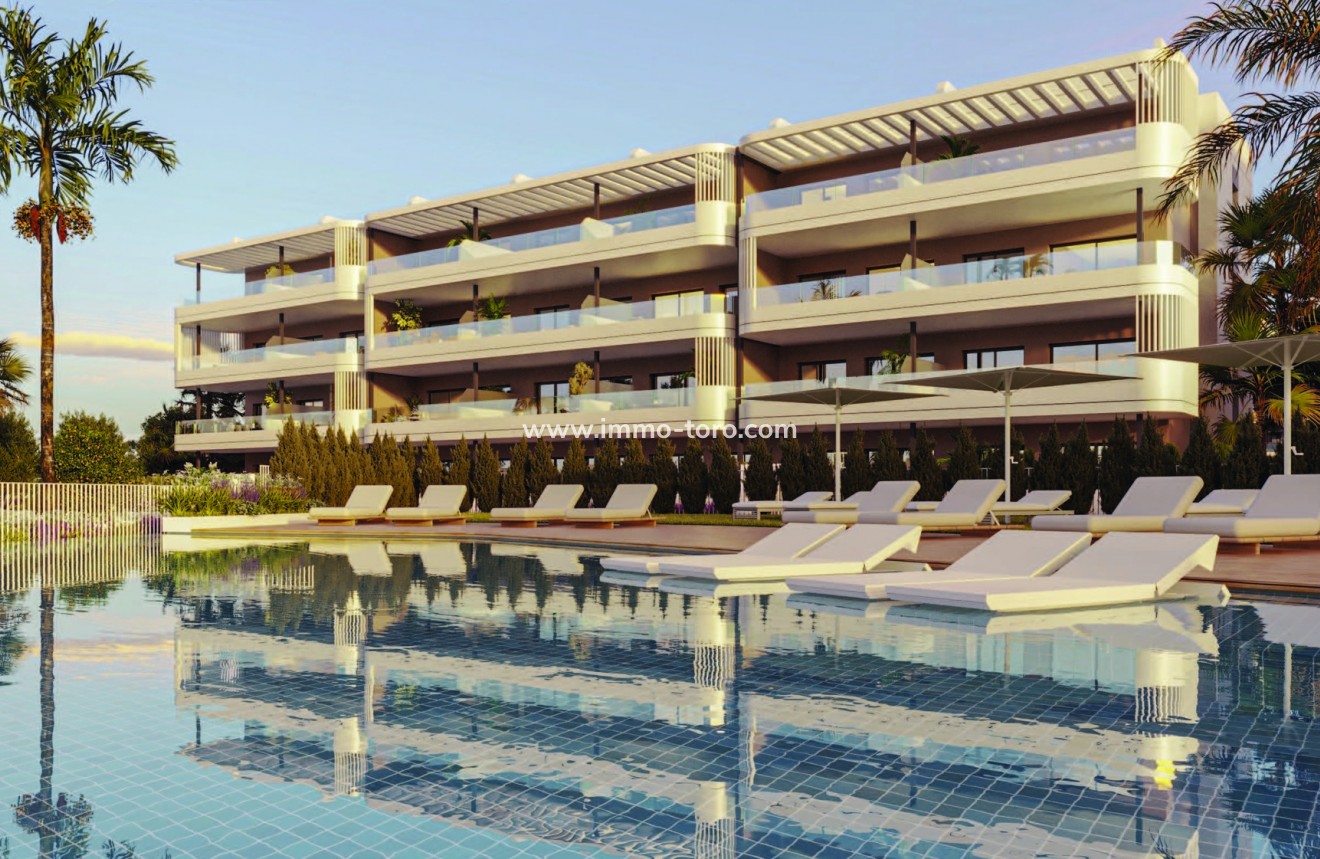 Nouvelle construction - Penthouse - Torrevieja