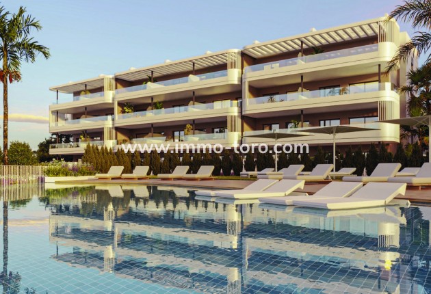 Nouvelle construction - Penthouse - Torrevieja