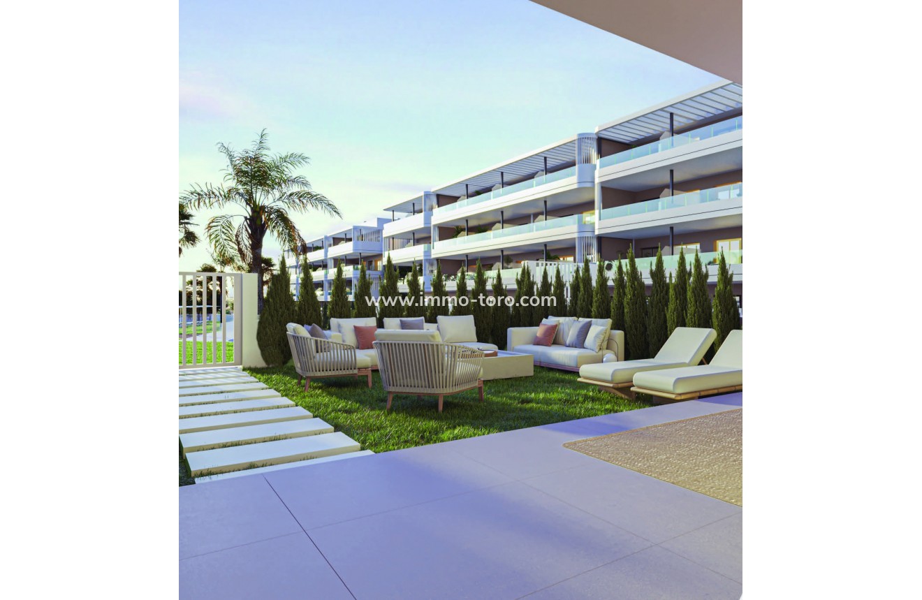 Nouvelle construction - Penthouse - Torrevieja