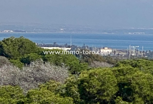 New Build - Apartment - Guardamar - Guardamar del Segura