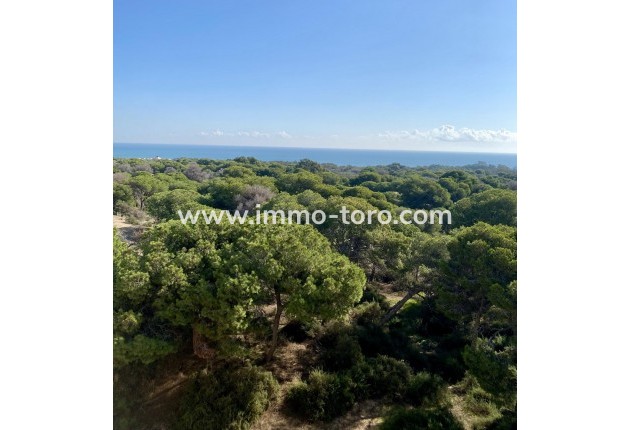 New Build - Apartment - Guardamar - Guardamar del Segura