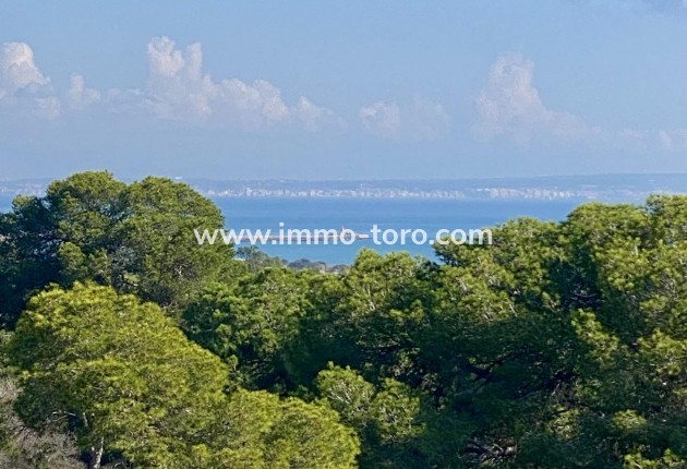 New Build - Apartment - Guardamar - Guardamar del Segura