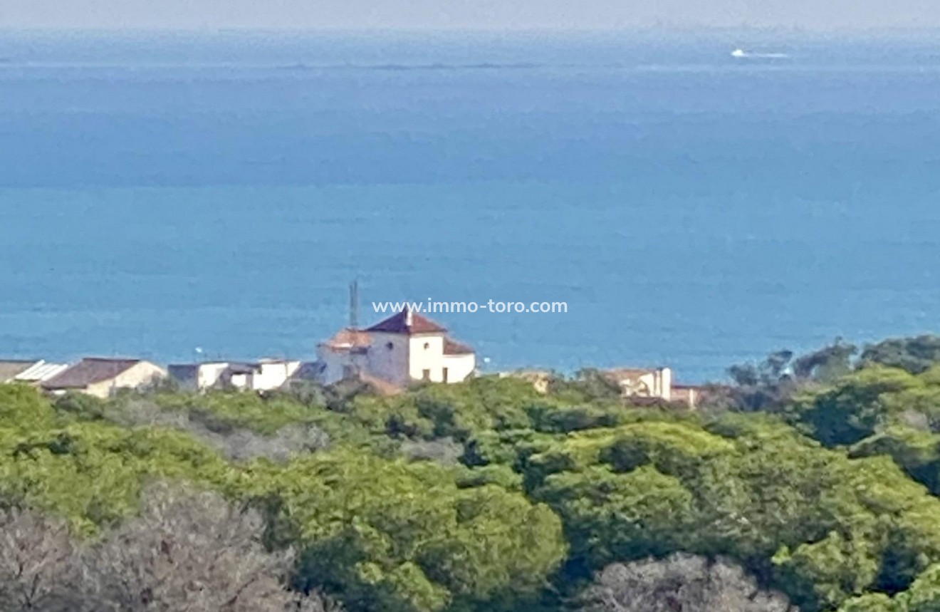 New Build - Apartment - Guardamar - Guardamar del Segura
